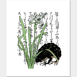 Eighteenth Century Japanese Botanical Frog Toad Daffodils Posters and Art